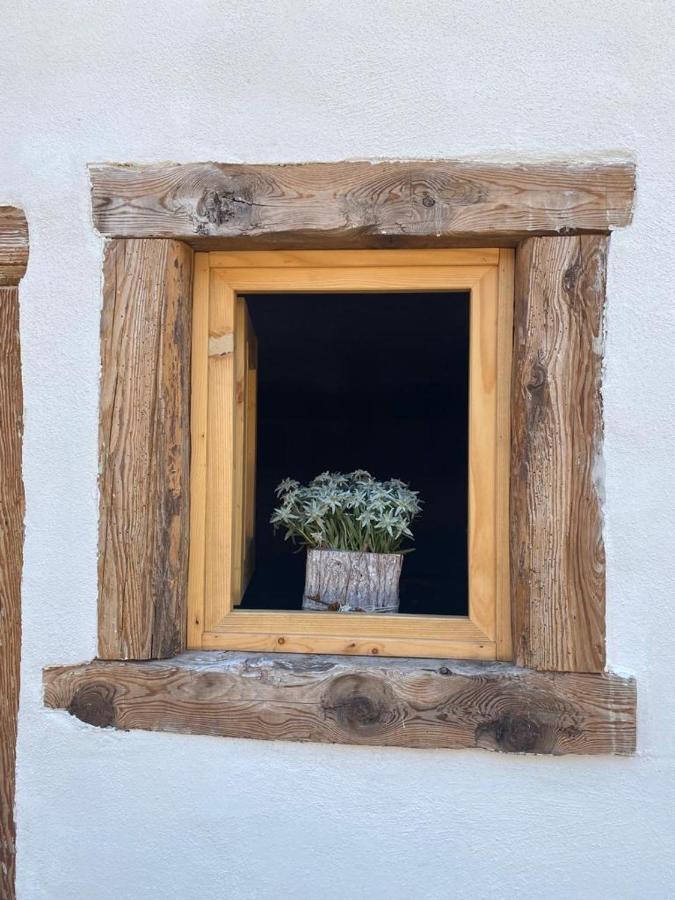 The Wooden House Apartment Valle di Cadore Exterior photo